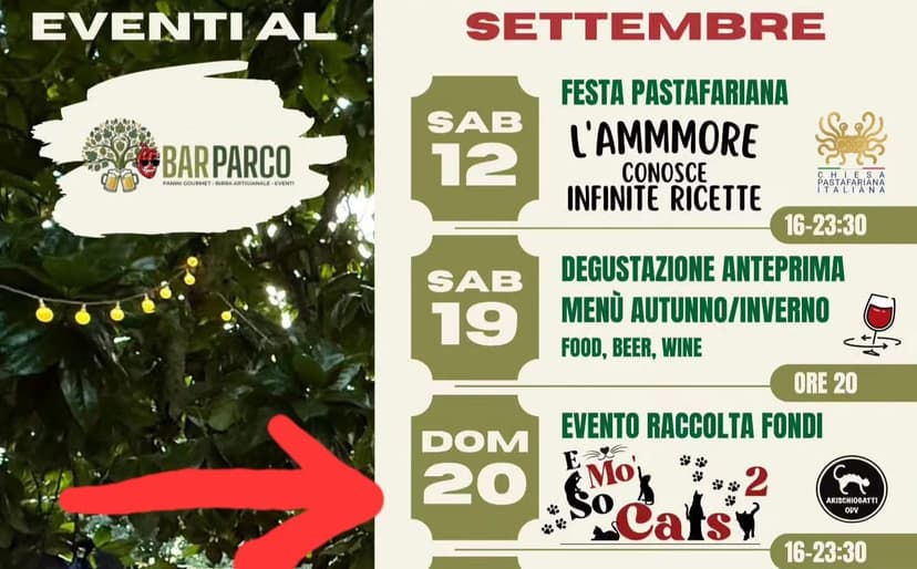 Evento raccolta fondi: E mo' so cats 2